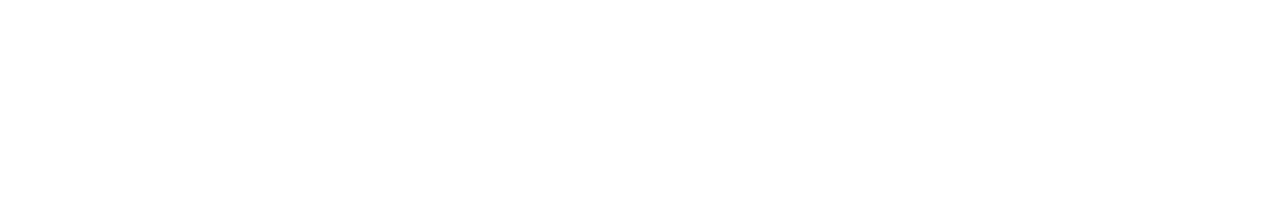 Jana Wall Fotografie Logo